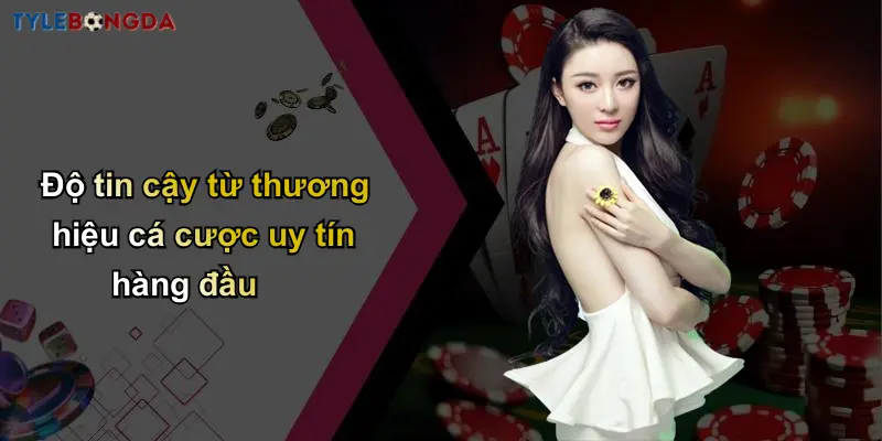 Độ tin cậy từ thương hiệu cá cược uy tín hàng đầu