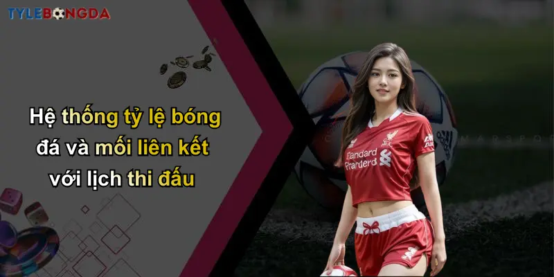 Hệ thống tỷ lệ bóng đá và mối liên kết với lịch thi đấu