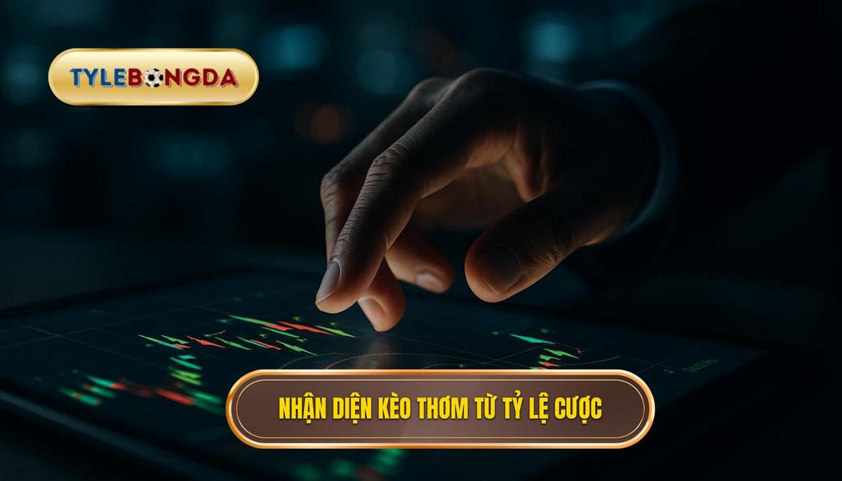 Nhận diện kèo thơm thông qua biến động tỷ lệ nhà cái