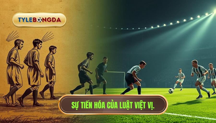 Lịch sử và sự tiến hóa của luật việt vị